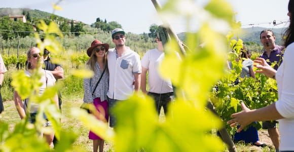 Castiglion Fiorentino : visite et dégustation des vins Buccelletti