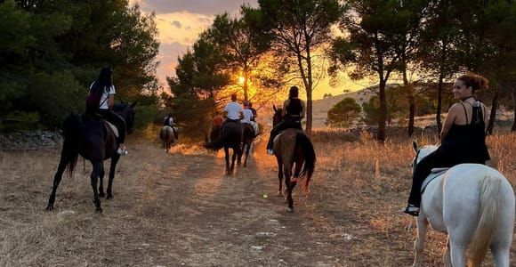 Matera: sunset horseback riding tour on Murgia