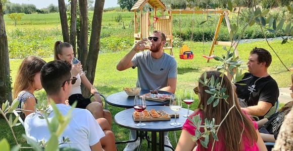 Lazise: Weinverkostung mit Charcuterie und Käseplatte