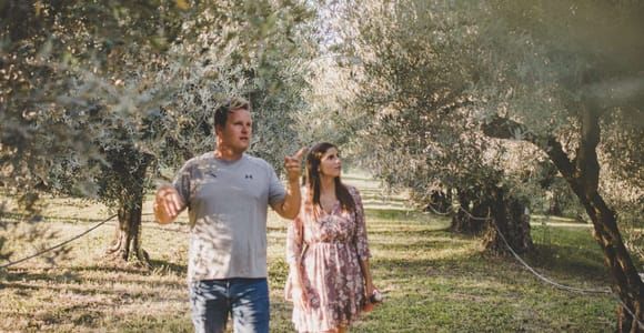 Umag : Huile d'olive, vin et nourriture locale dans une ferme familiale
