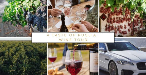 ¡Experiencia de cata de vinos en la campiña de Apulia!