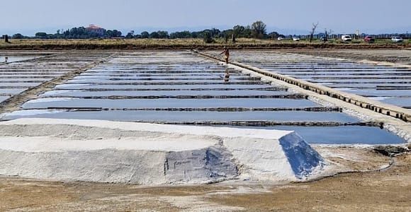 Salina di Cervia : Traces d'une saline romaine