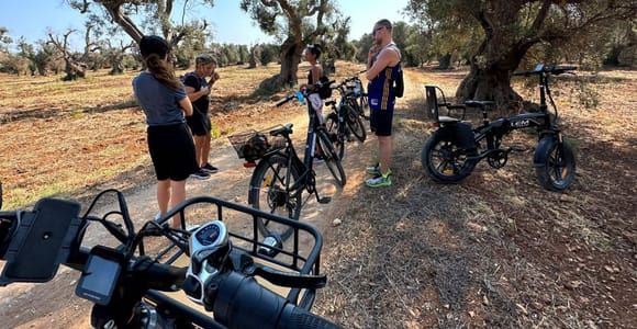 Brindisi: e-Bike trip to Torre Guaceto Nature Reserve