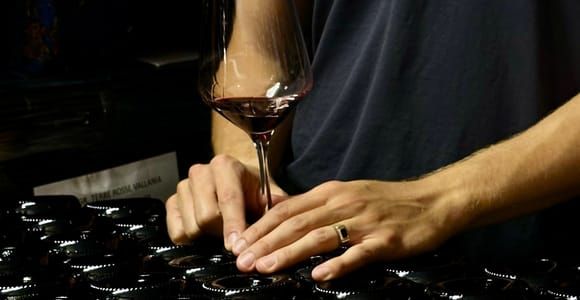 Bologna: Tour della cantina con degustazione di vini e cibo