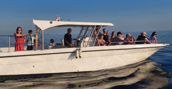 Umag: Dolphinwatching & sunset panorama tour