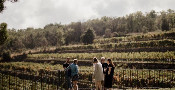 Linguaglossa: опыт дегустации вин в Etna Nord