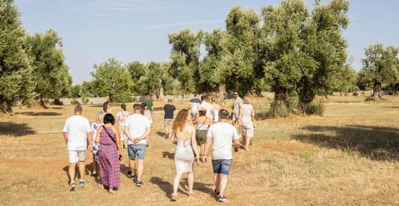 Ostuni: Excursión con cata de aceite de oliva