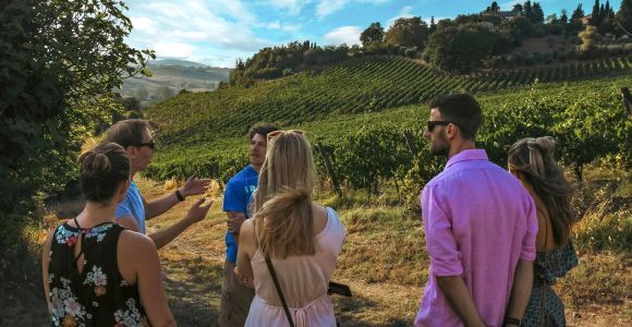 Bio-Weinkeller-Tour und Weinprobe in Siena