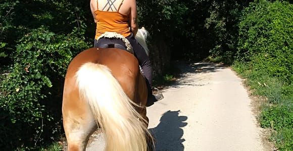 Casentino: Horseback Riding Tour with Verna Sanctuary View