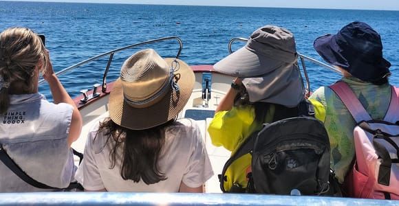 Excursion en bateau de Castro à Malepasso